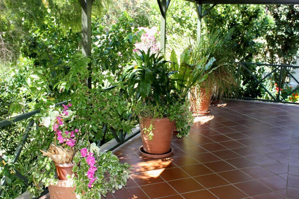 Somerset Lodge Монтегю Экстерьер фото